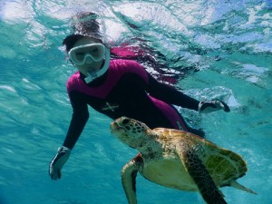 シュノーケルで嘘みたいに近い