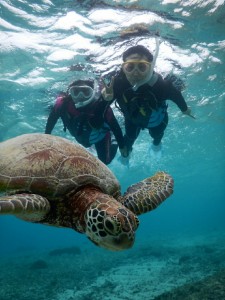 クリアなシュノーケル時間