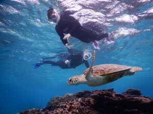 優しいサポートでシュノーケルツアー