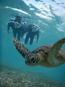 娘さんとシュノーケルツアー