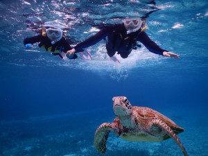 6歳でウミガメともシュノーケルできたよ