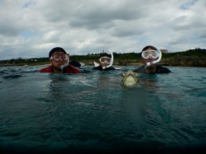 ウミガメさんと一緒に息継ぎシュノーケル