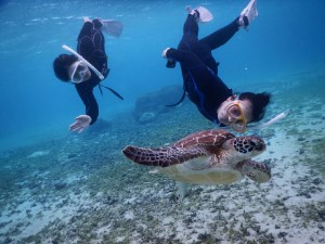 ウミガメスキンダイビング二人同時