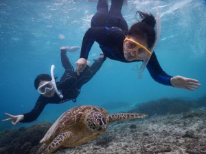 一緒にシュノーケル外してウミガメと遊ぶ