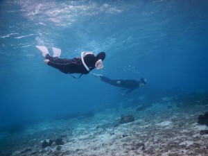 美しいフォームのスキンダイビング