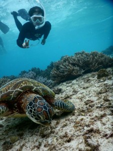 荒波だけどスキンダイビング成功