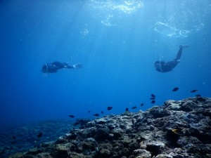 素潜り上手な二人