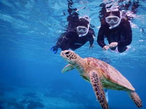 水着が無くてもシュノーケル