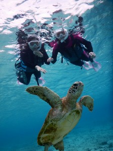 初シュノーケルの二人にウミガメさんからお近づき
