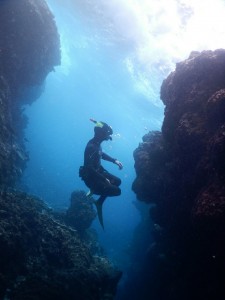 宮古島ビーチから美しいスキンダイビング