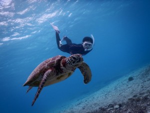 宮古島スキンダイビングする母