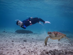 逆さまウミガメシュノーケル撮影
