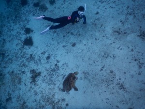 深くスキンダイビング