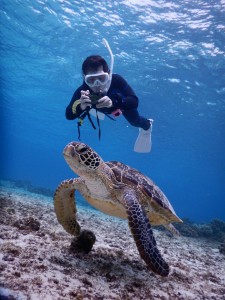 ウミガメさん待って