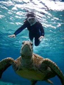 宮古島の大きなウミガメとポーズ