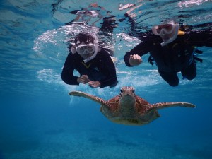 当日参加宮古島シュノーケル大歓迎