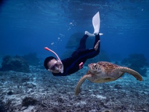 新規ポイントでウミガメシュノーケル
