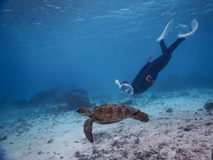 特別なシュノーケルマスクで潜りました