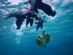 卒業旅行はウミガメと宮古島シュノーケル