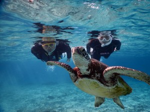 御夫婦で宮古島シュノーケル