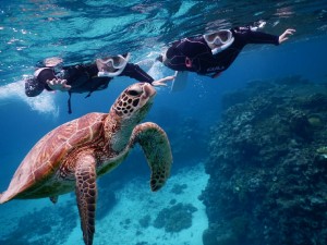 青く透き通る海へ宮古島シュノーケル
