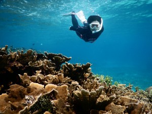 宮古島のビーチからスキンダイビング