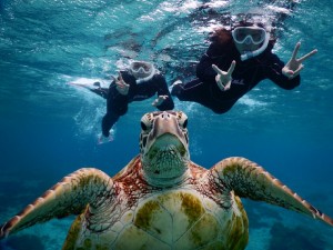 ウミガメさんシュノーケル姉妹と自撮り