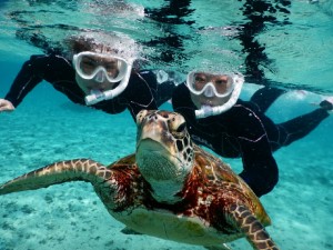 水面ギリギリでウミガメをみるシュノーケル