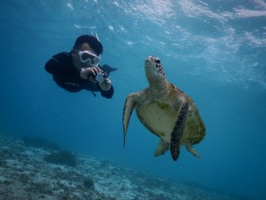 新婚宮古島スキンダイブ