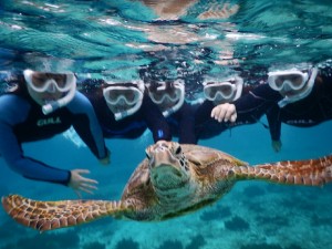 5人揃って宮古島でシュノーケルしてる