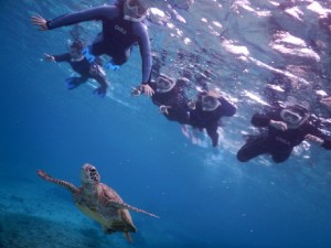 5人でウミガメを探しにシュノーケル