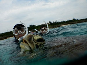 ウミガメさん息継ぎをバッチリとシュノーケルで