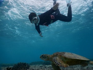 ウミガメと初のスキンダイビング