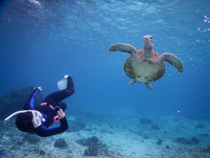 下からすもぐり撮影