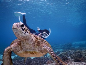 後ろからシュノーケルで