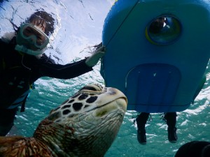 宮古島ボートと箱メガネでウミガメ