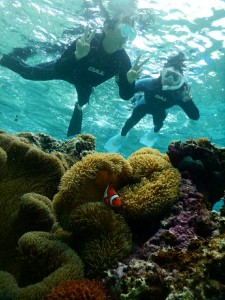 宮古島シュノーケルでニモにご挨拶