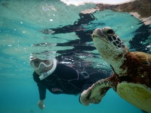 宮古島でウミガメとシュノーケルをしすぎたよ