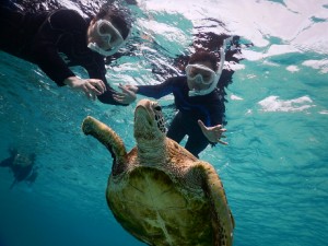 遠距離でも宮古島で仲良くシュノーケル