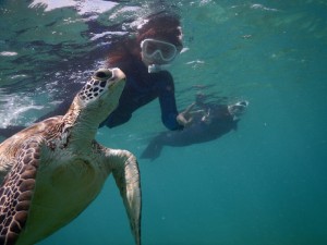 綺麗な姉妹と綺麗なウミガメ