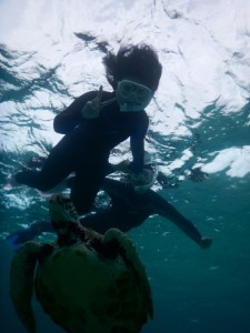 双子の早朝シュノーケル