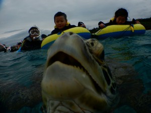 ３才でウミガメの息継ぎ見る