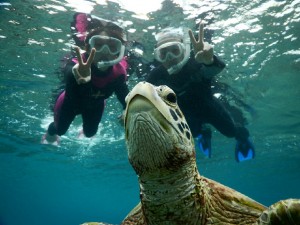 ライジャケ無しでもウミガメシュノーケリング