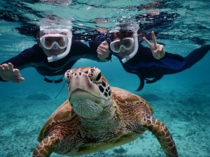 ウェルカムボードにウミガメ写真