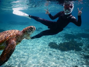 宮古島ウミガメと横泳ぎ