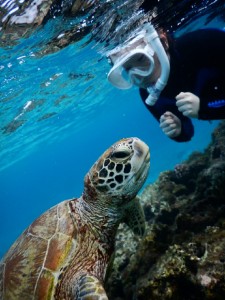 ウミガメとにらめっこした宮古島