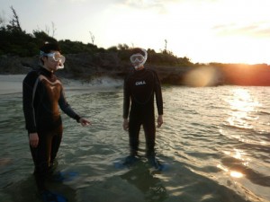 朝日のウミガメフォトツアー