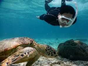 ウェットでも潜れます