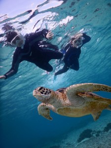 上手にシュノーケリングを宮古島のビーチで