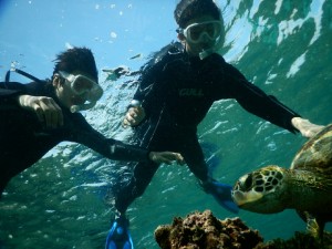 兄弟ウミガメにらめっこ